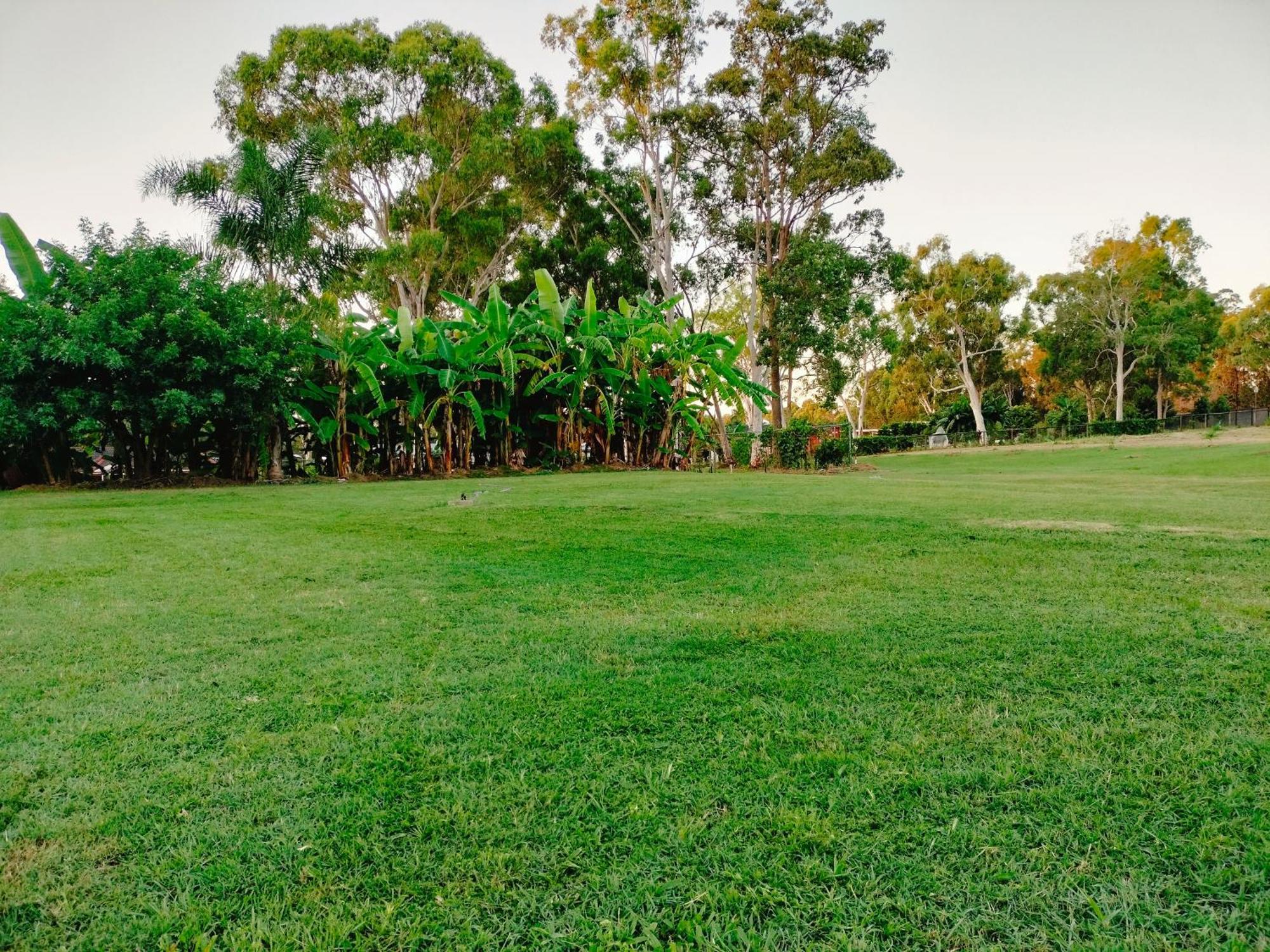 The Woodlands Hideaway - Premium Acreage Guesthouse Browns Plains Eksteriør billede
